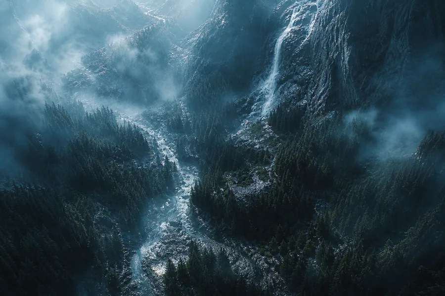 Dark Forest Fog Nature Wallpaper 2 4K 5